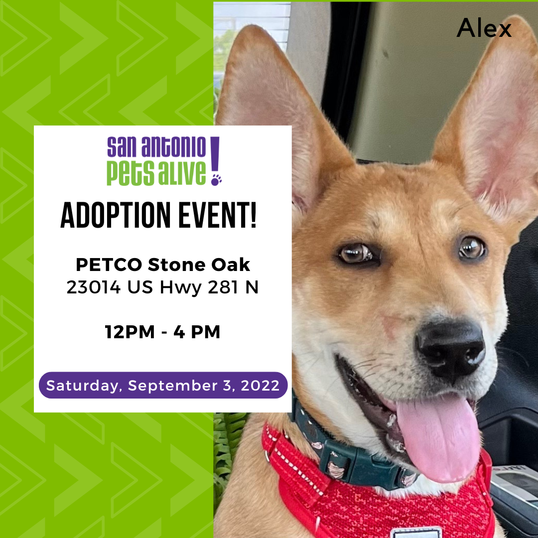 Adoption Event @ Petco Stone Oak